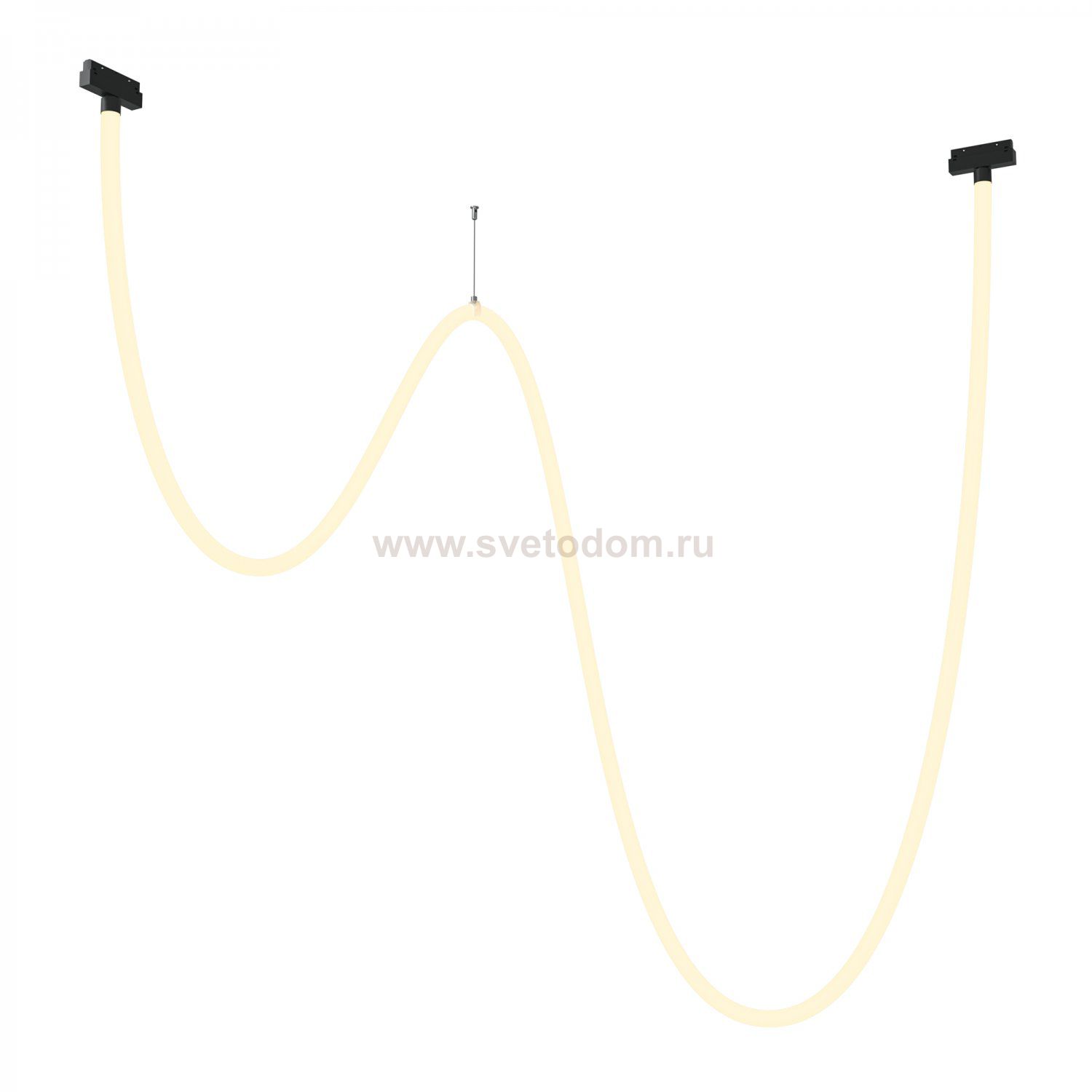 Трековый подвесной светильник Maytoni TR101-2-100W3K-B Tau