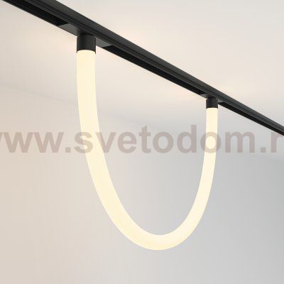 Трековый подвесной светильник Maytoni TR101-2-20W3K-B Tau