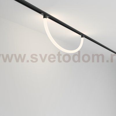 Трековый подвесной светильник Maytoni TR101-2-20W4K-B Tau