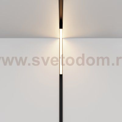 Трековый светильник Maytoni TR102-24W-DS-B Basis Angle