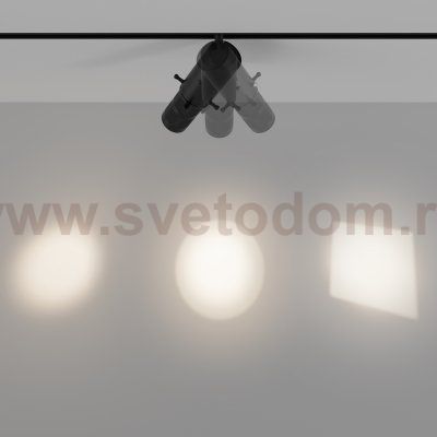 Трековый светильник Maytoni TR108-2-10W3K-B Gala