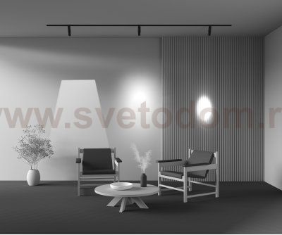Трековый светильник Maytoni TR108-2-10W3K-B Gala