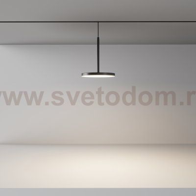 Трековый светильник Maytoni TR123-2-15W4K-B
