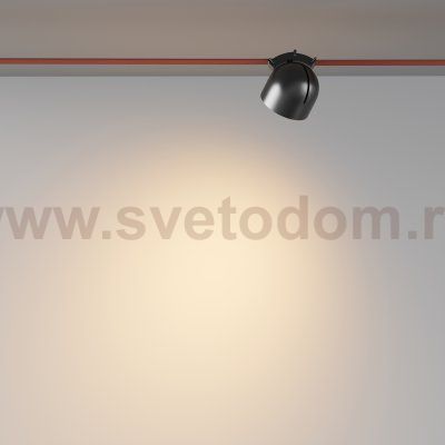 Трековый подвесной светильник Maytoni TR124B-12W3K-B Cup