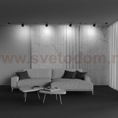 Трековый подвесной светильник Maytoni TR124B-12W3K-B Cup