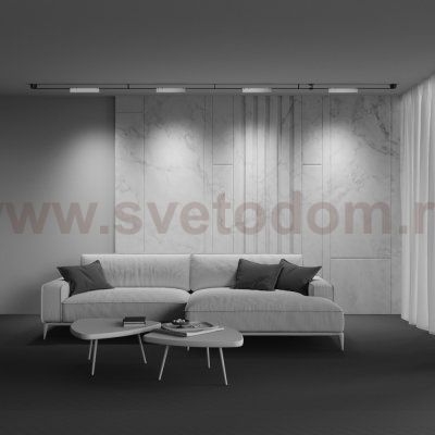 Трековый подвесной светильник Maytoni TR128B-12W3K-M-W Points