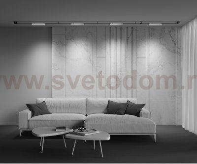 Трековый подвесной светильник Maytoni TR128B-12W4K-M-W Points