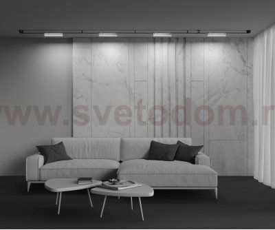 Трековый подвесной светильник Maytoni TR129B-12W4K-W Basis