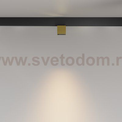 Трековый светильник Maytoni TR133-2-7W3K-BS Alfa S