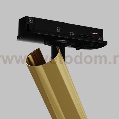 Трековый светильник Maytoni TR141-1-6W3K-M-BS Focus T