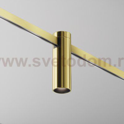 Трековый светильник Maytoni TR143-1-5W4K-W-BS Focus Led