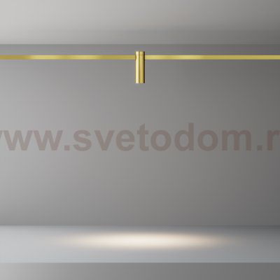 Трековый светильник Maytoni TR143-1-5W4K-W-BS Focus Led