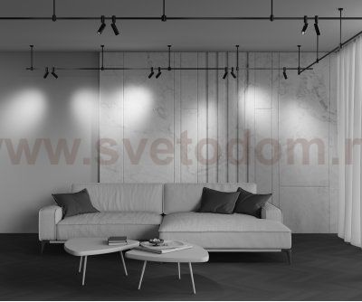 Трековый светильник Technical TR144-1-12W3K-W-B