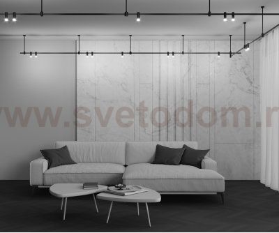 Трековый светильник Maytoni TR145-1-3W3K-W-B Skim