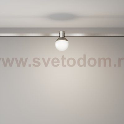 Трековый светильник Technical TR149-1-5W4K-PT