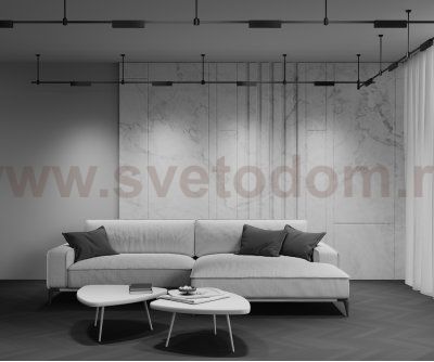 Трековый светильник Maytoni TR150-1-12W3K-M-B Points