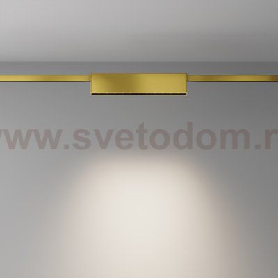 Трековый светильник Maytoni TR150-1-12W4K-M-BS Points