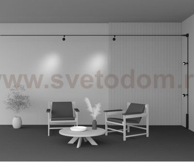 Трековый светильник Maytoni TR164-1-8W3K-M-B Sfera