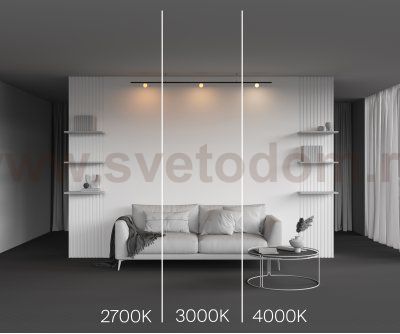 Трековый светильник Maytoni TR185-1-3W3K-B Luna