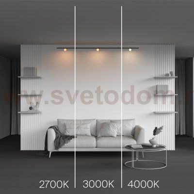 Трековый светильник Maytoni TR185-1-3W3K-B Luna