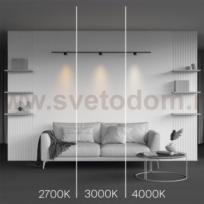 Трековый светильник Maytoni TR188-1-5W3K-M-B Alfa S