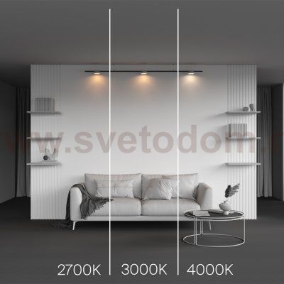 Трековый светильник Maytoni TR189-1-12W3K-BW Zon