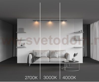 Трековый светильник Maytoni TR189-1-12W3K-BW Zon