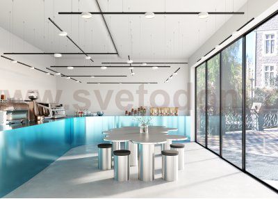 Трековый светильник Maytoni TR189-1-12W3K-B Zon