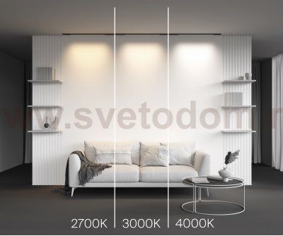 Трековый светильник Maytoni TR190-1-10W3K-B Basis