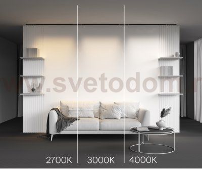 Трековый светильник Maytoni TR192-1-21W4K-B Basis