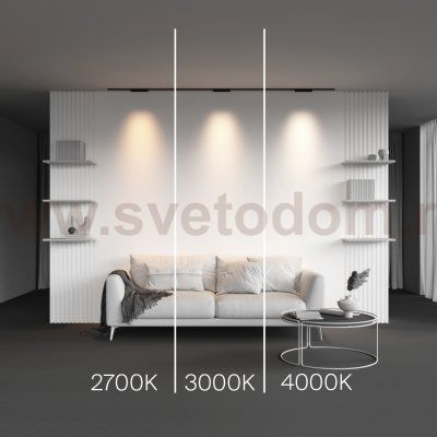 Трековый светильник Maytoni TR193-1-10W3K-M-B Points