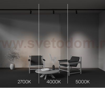 Трековый светильник Maytoni TR197-3-12WCCT-M-B Focus Led