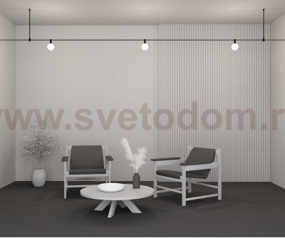 Трековый светильник Maytoni TR208-1-5W3K-B Luna