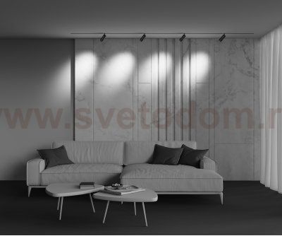 Трековый светильник Maytoni TR212-1-12WTW-DD-Z-B Focus Zoom