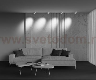 Трековый светильник Maytoni TR212-1-12WTW-DS-Z-W Focus Zoom