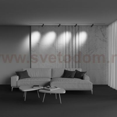 Трековый светильник Technical TR212-4-12WTW-DD2-Z-B