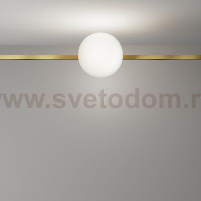 Трековый светильник Technical TR229-1-8W4K-BS