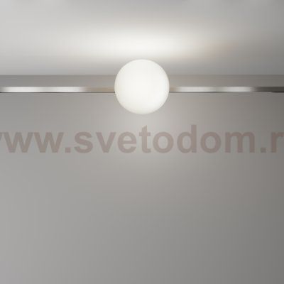 Трековый светильник Technical TR229-1-8W4K-PT
