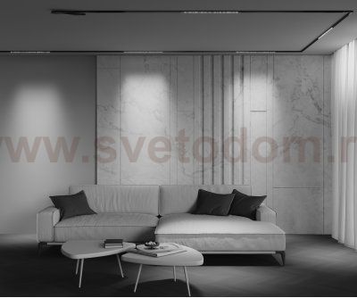 Трековый светильник Technical TR241-2-12W3K-B