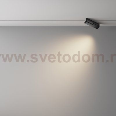 Трековый светильник Technical TR242-2-12W4K-B