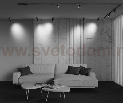 Трековый светильник Technical TR243-4-12WTW-DD2-B