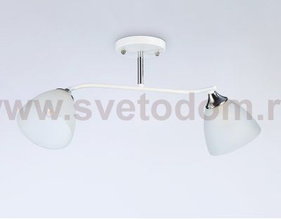 Подвесной светильник Ambrella TR303001 TR