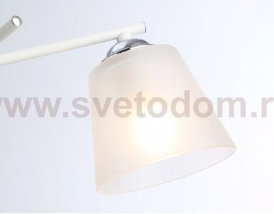 Подвесной светильник Ambrella TR303202 TR