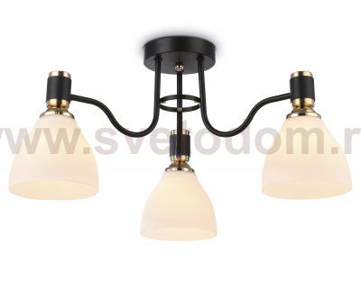 Потолочный светильник Ambrella TR303303 TR