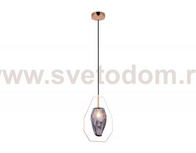 Подвесной светильник со сменной лампой Ambrella TR3627 TR