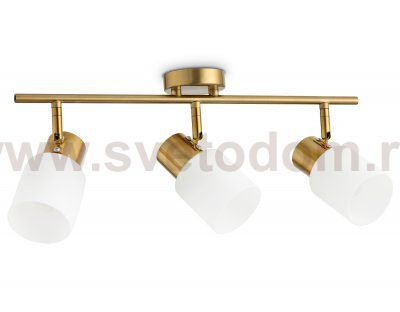 Настенно-потолочный спот Ambrella TR3972 TR