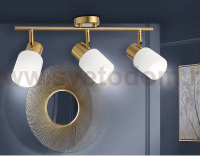 Настенно-потолочный спот Ambrella TR3972 TR