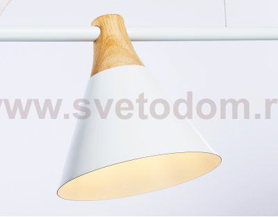 Подвесной светильник в стиле лофт Ambrella TR8196 TR