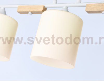 Подвесной светильник Ambrella TR9546 TR