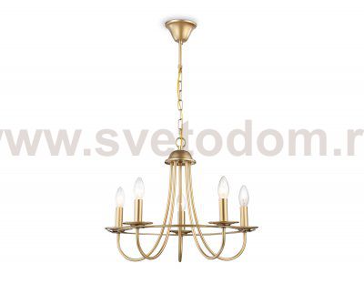 Подвесная люстра со сменной лампой Ambrella TR9615 TR